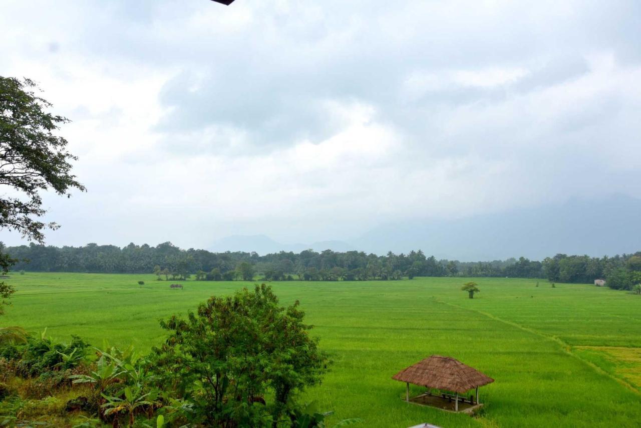 Green Heritage Holiday Resort 马希延格讷 外观 照片